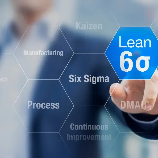 Lean Six Sigma Experts